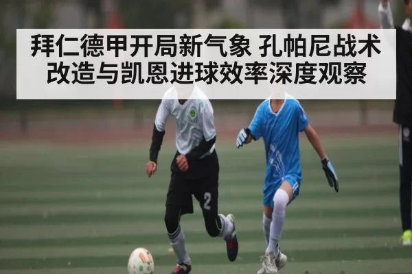 拜仁德甲开局新气象 孔帕尼战术改造与凯恩进球效率深度观察